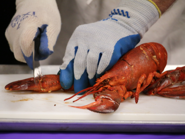 cut the lobster into pieces photo