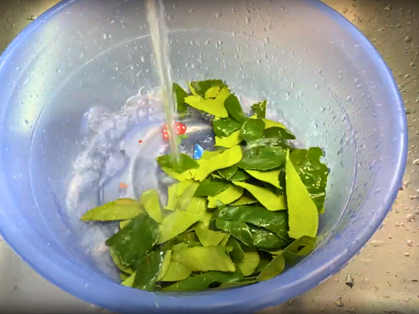 Thai Green Chilli Sauce - Rinse the herbs under cold water.